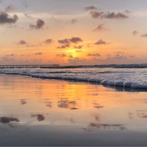 Meet your Posher, Loly